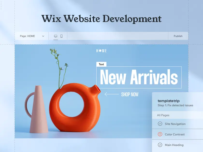 Wix Website Development